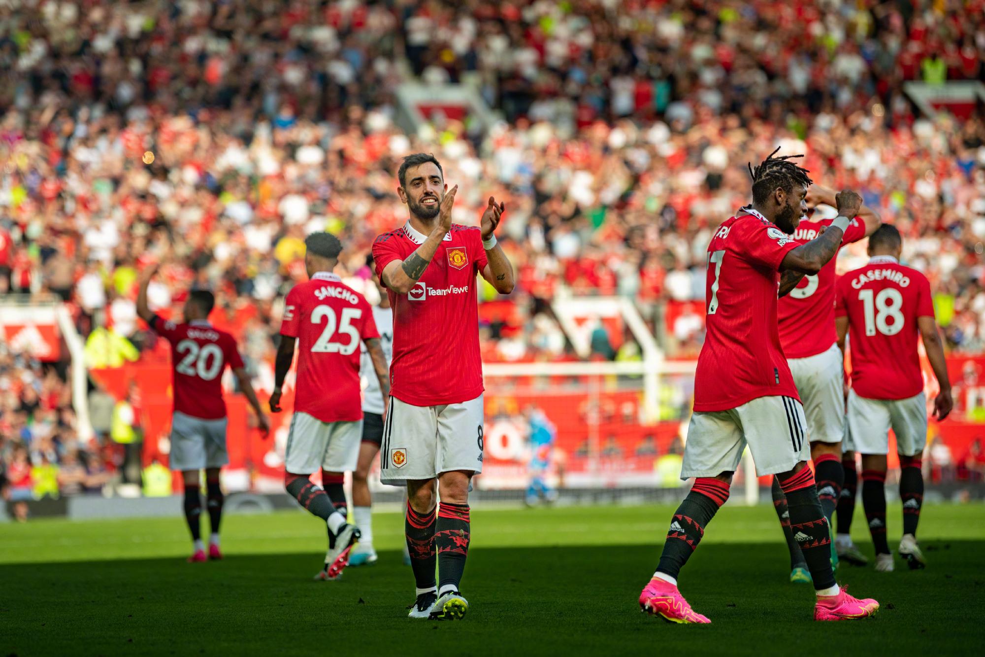 在许多职业 在许多职业