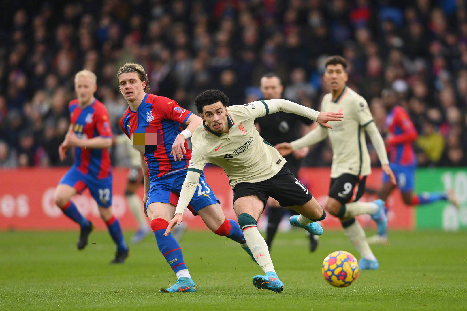 由有可能吸 由有可能吸